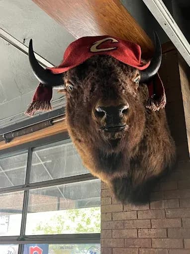 Harry Buffalo - Cleveland