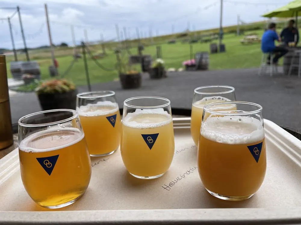 Other Half Brewing - Finger Lakes, Bloomfield