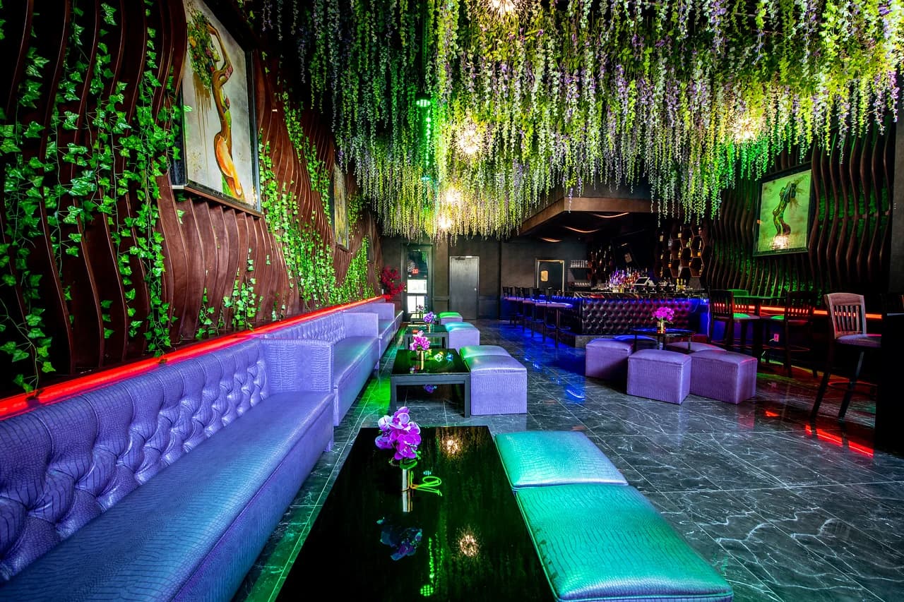 Vanity Restaurant and Bar