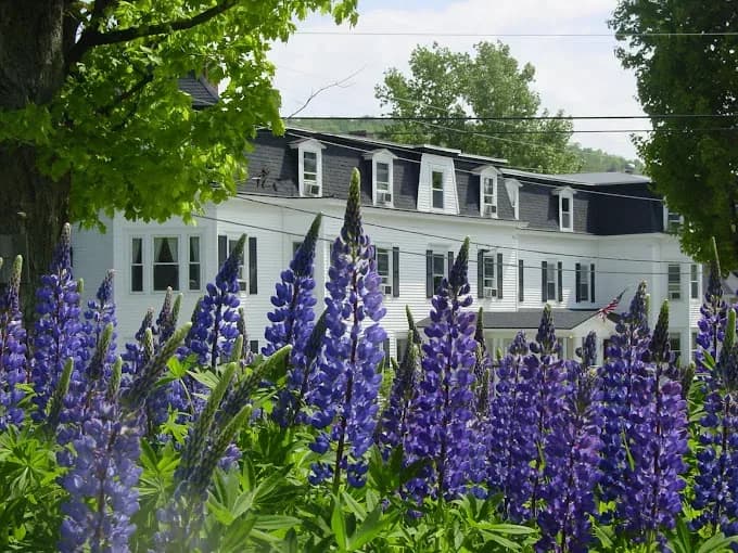 The Sunset Hill House