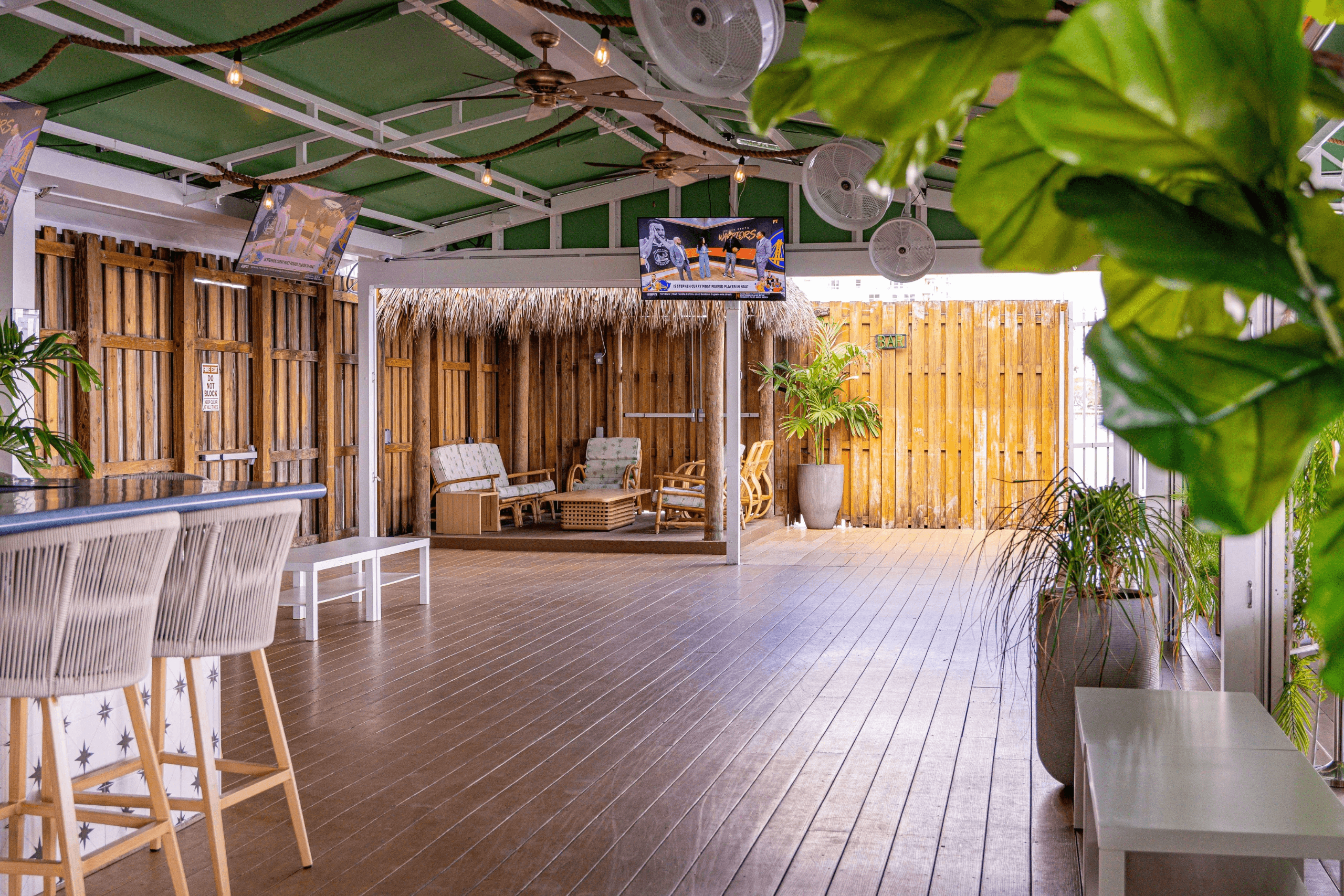 Palm Tree Club