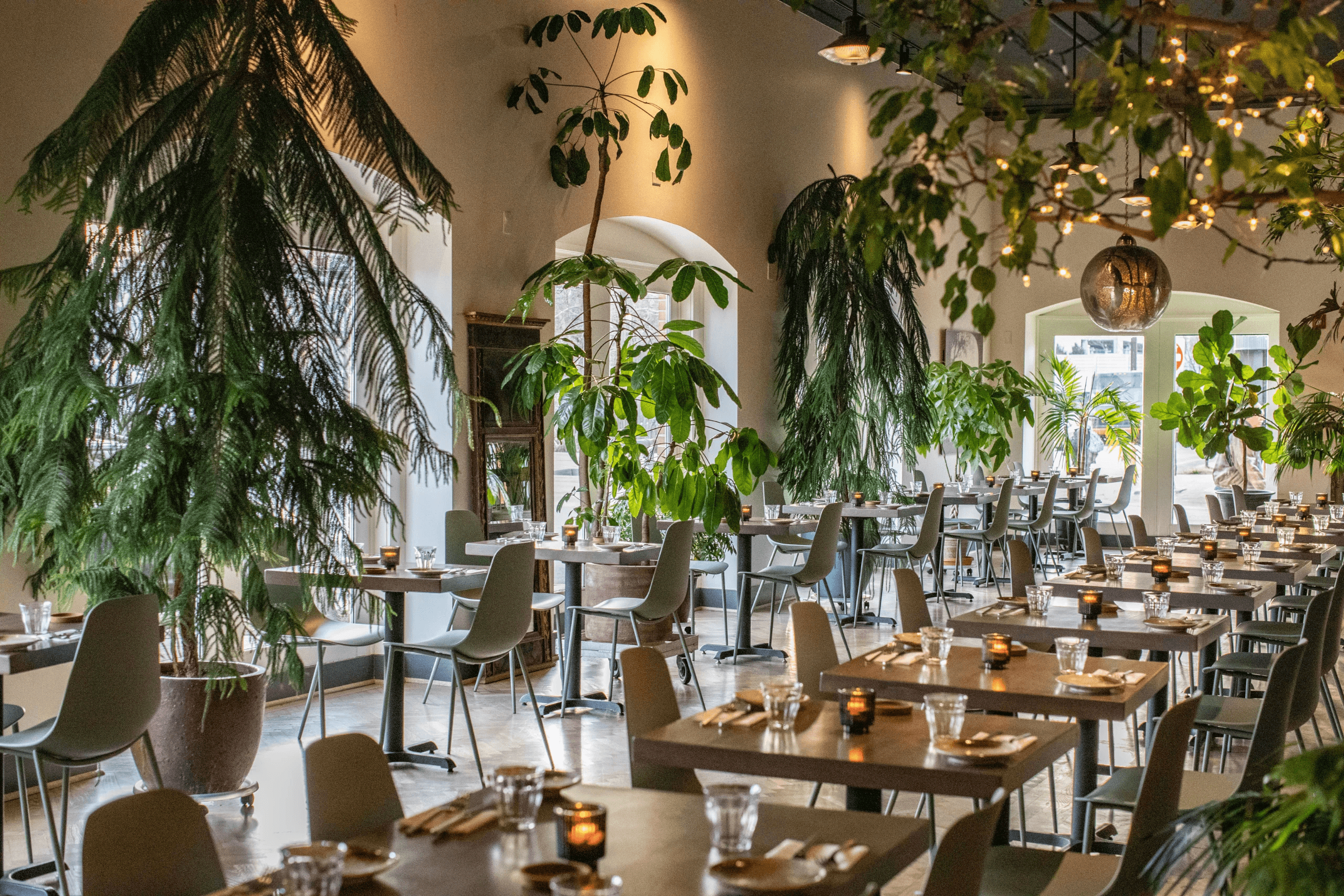 Alma Cocina Latina